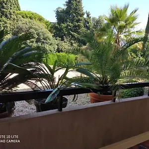 Appartement Les Palmiers, Nice